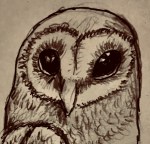 19BF0856-3F53-444A-95BA-EDD3FCDF29C4