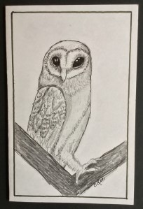 A7E36097-D80B-43E8-8124-62A1776D6355