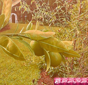 864450D3-0F16-4AA7-B86F-F0865581B578