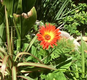 90F64DE6-F8F4-46C8-A7AD-2387B95230A1