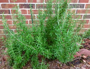 B25329F5-1F94-49CB-98EC-C5DDF528CF21